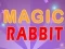 Hra Magic Rabbit