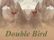 Hra Double Bird