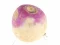 Hra Turnip