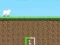 Hra Crazy Sheep