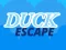 Hra Duck Escape