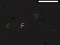 Hra Bad Timing