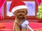 Hra Christmas ASMR Makerover Salon
