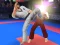 Hra Karate Fighter