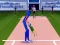 Hra Cricket Mania