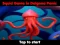 Hra Squid Game In Dalgona Panic