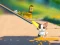 Hra Cat Challenge