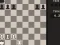 Hra Fun Chess Puzzles!