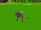 Hra Cougar Simulator - Big Cats