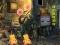 Hra Delightful Rat Escape