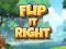 Hra Flip It Right