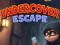 Hra Undercover Escape