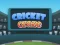 Hra Cricket Craze