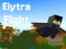 Hra Elytra Flight