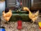 Hra Poultry Farm Easter Escape