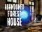 Hra Abandoned Forest House