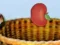 Hra Harvesting