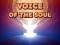 Hra Voice Of The Soul