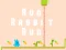 Hra Run Rabbit Run