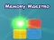 Hra Memory Maestro