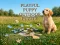 Hra Playful Puppy Outdoor Puzzle