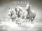 Hra Horses Puzzle