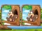 Hra Jungle 5 Diffs