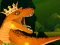 Hra The Dino King