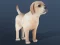 Hra IDLE Pet