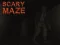 Hra Scary Maze