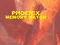 Hra Phoenix Memory Match