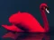 Hra Love Birds Puzzle