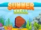 Hra Summer Shell