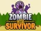 Hra Zombie Last Survivor