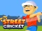 Hra Street Cricket