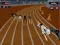 Hra Crazyl Dog Racing Fever