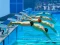 Hra Swimming Pool Race