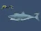 Hra Mad Shark