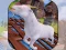 Hra Angry Goat Wild Animal Rampage