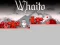 Hra Whaito