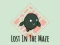 Hra Lost In The Maze