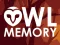 Hra Owl Memory