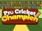 Hra Pro Cricket Champion