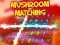 Hra Mushroom matching