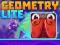 Hra Geometry Lite