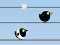 Hra Gone with the Birds