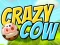Hra Crazy Cow
