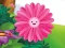 Hra Funny Flowers Jigsaw
