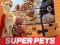 Hra DC League of Super Pets Jigsaw Puzzle