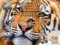 Hra Jigsaw Puzzles Classic